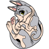http://v2.fursonapins.com//cn/ecommerce/products/xs/2022/01/26/0baba24a271a0bd61cd3e8dacf788cac.png
